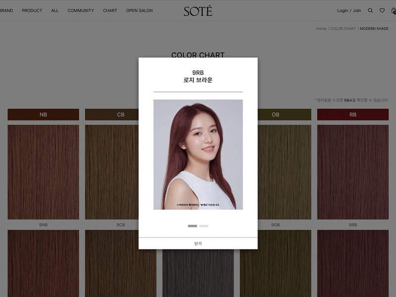 쇼핑몰 유지보수와 컬러 차트 기능 개선