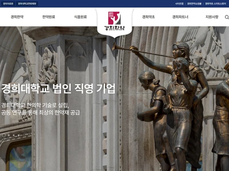 홈페이지 유지보수와 SEO 최적화 전략 — 수정, 유지보수, SEO 미리보기